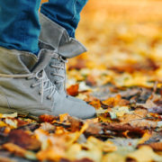 Herbst-/Winter-Kollektion